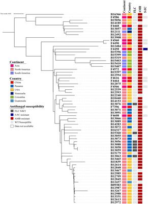 Antifungal susceptibility profiles and drug resistance mechanisms of clinical Candida duobushaemulonii isolates from China